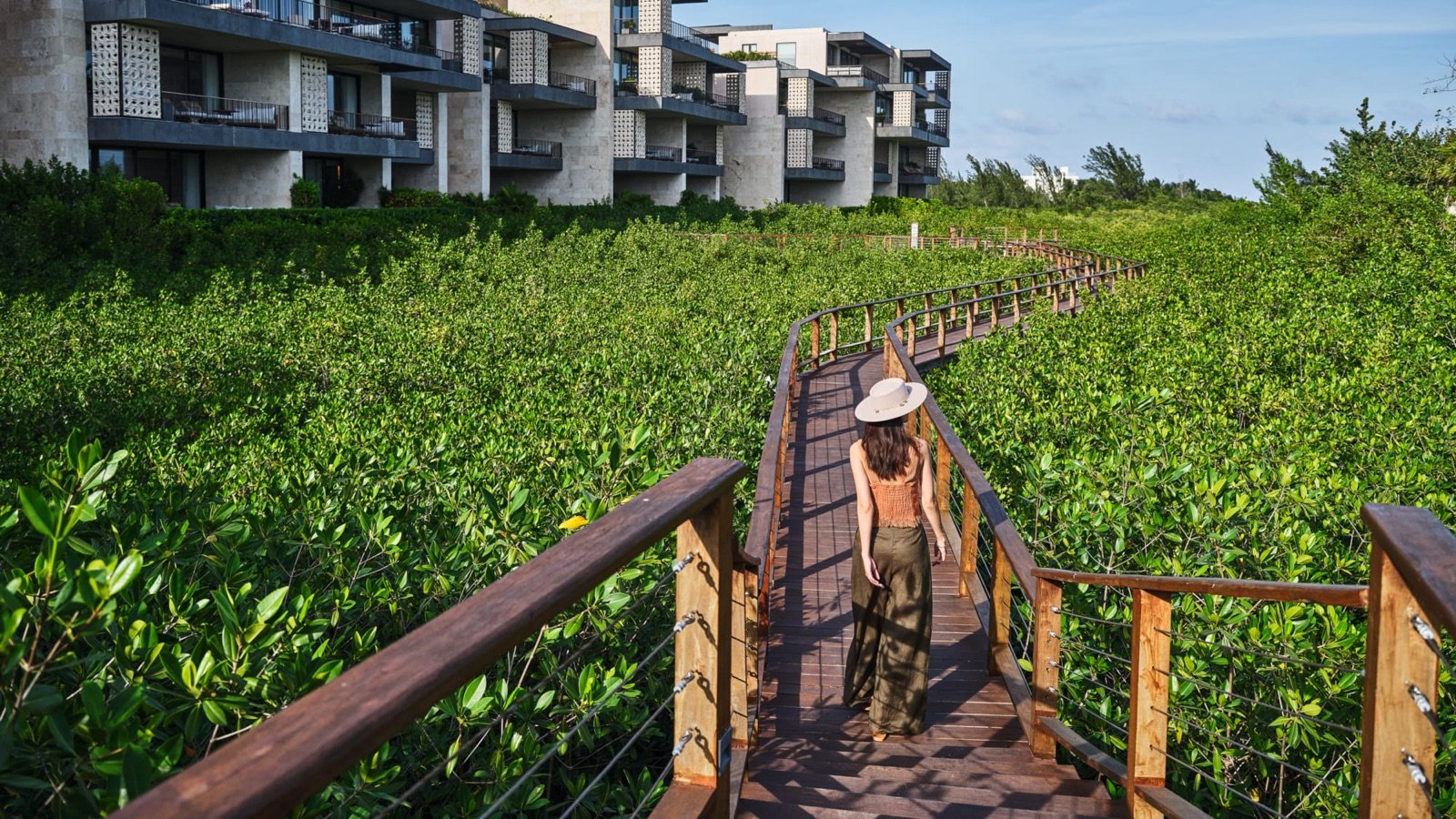 Una persona camina por un andador de madera entre el manglar, con los edificios del hotel al fondo