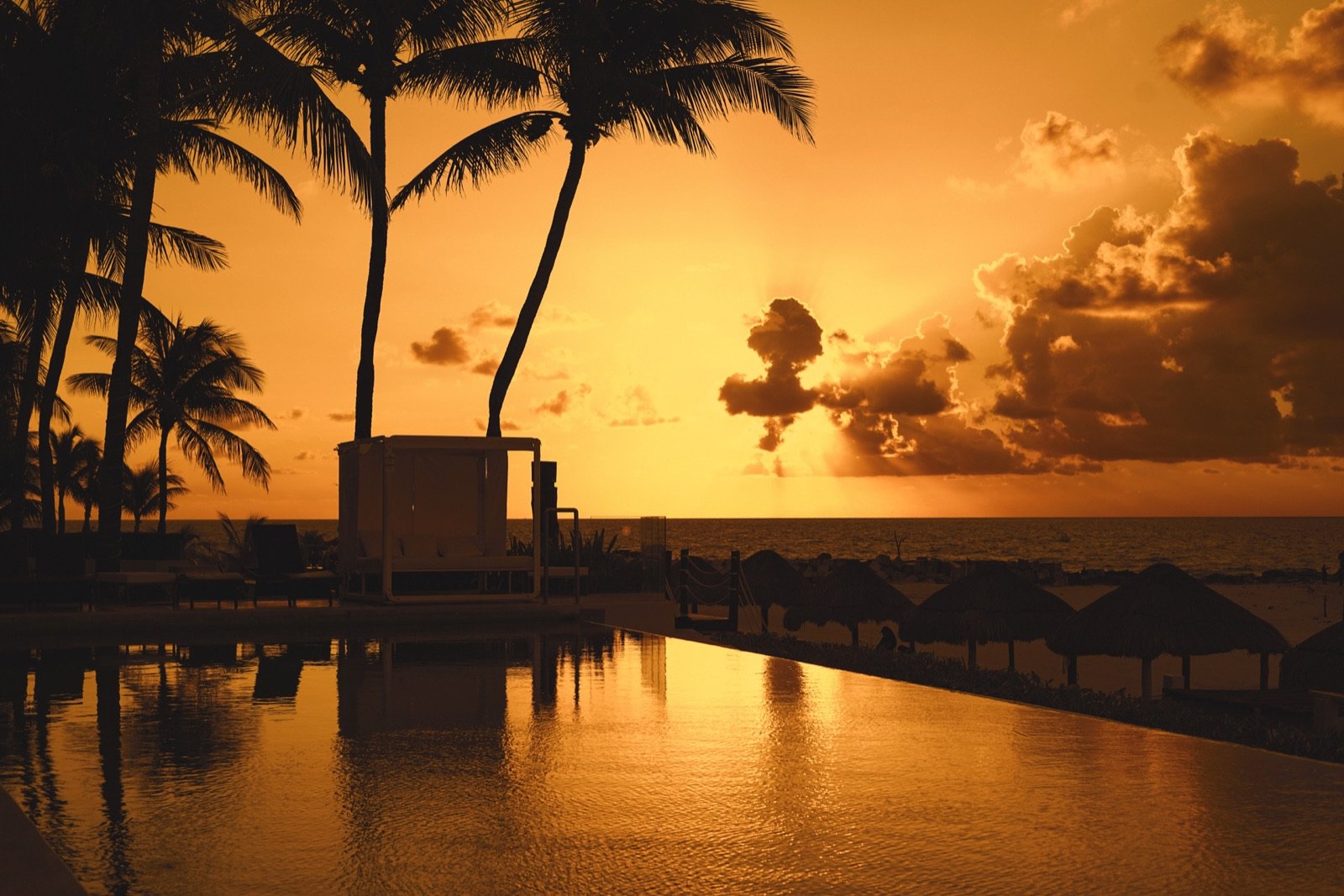 Palmeras a contraluz al atardecer sobre el mar