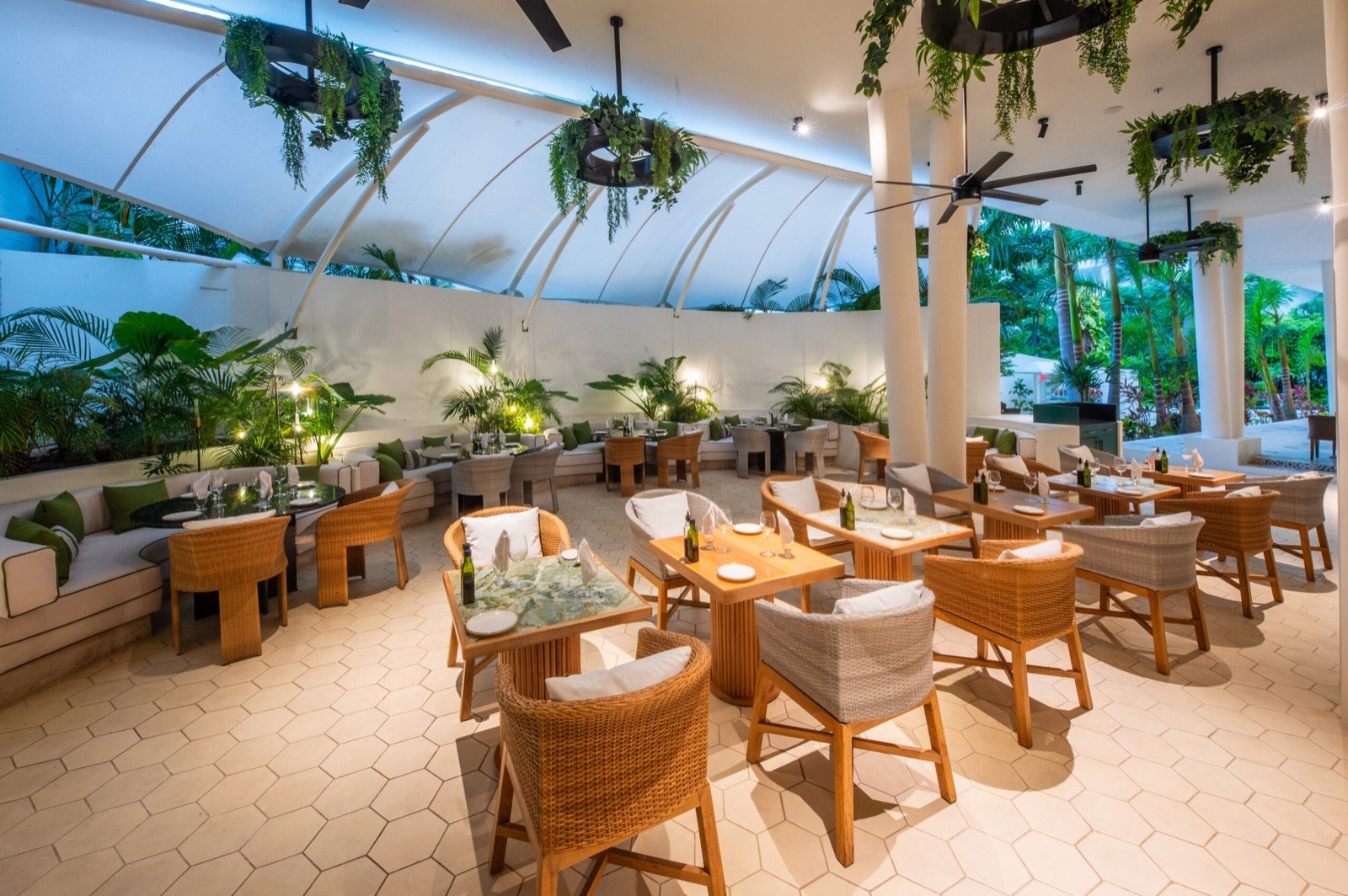 Restaurante con plantas colgantes y mucha luz