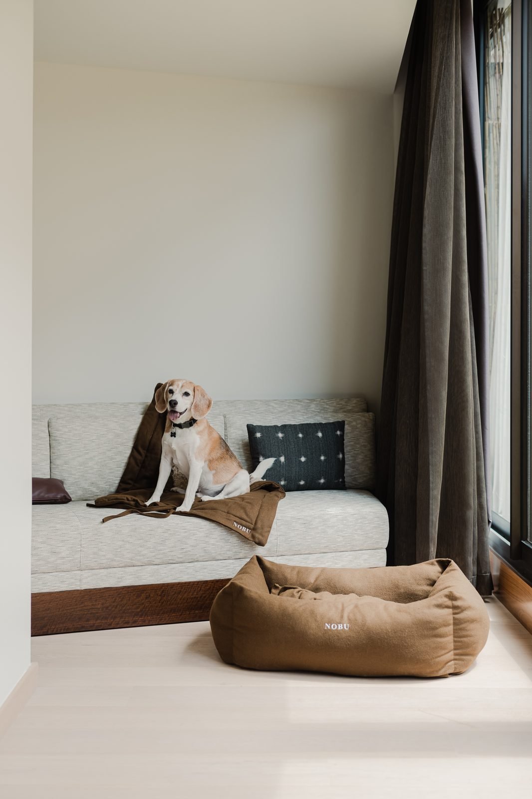 Un perro beagle sentado en un sillón de una habitación, junto a su cama