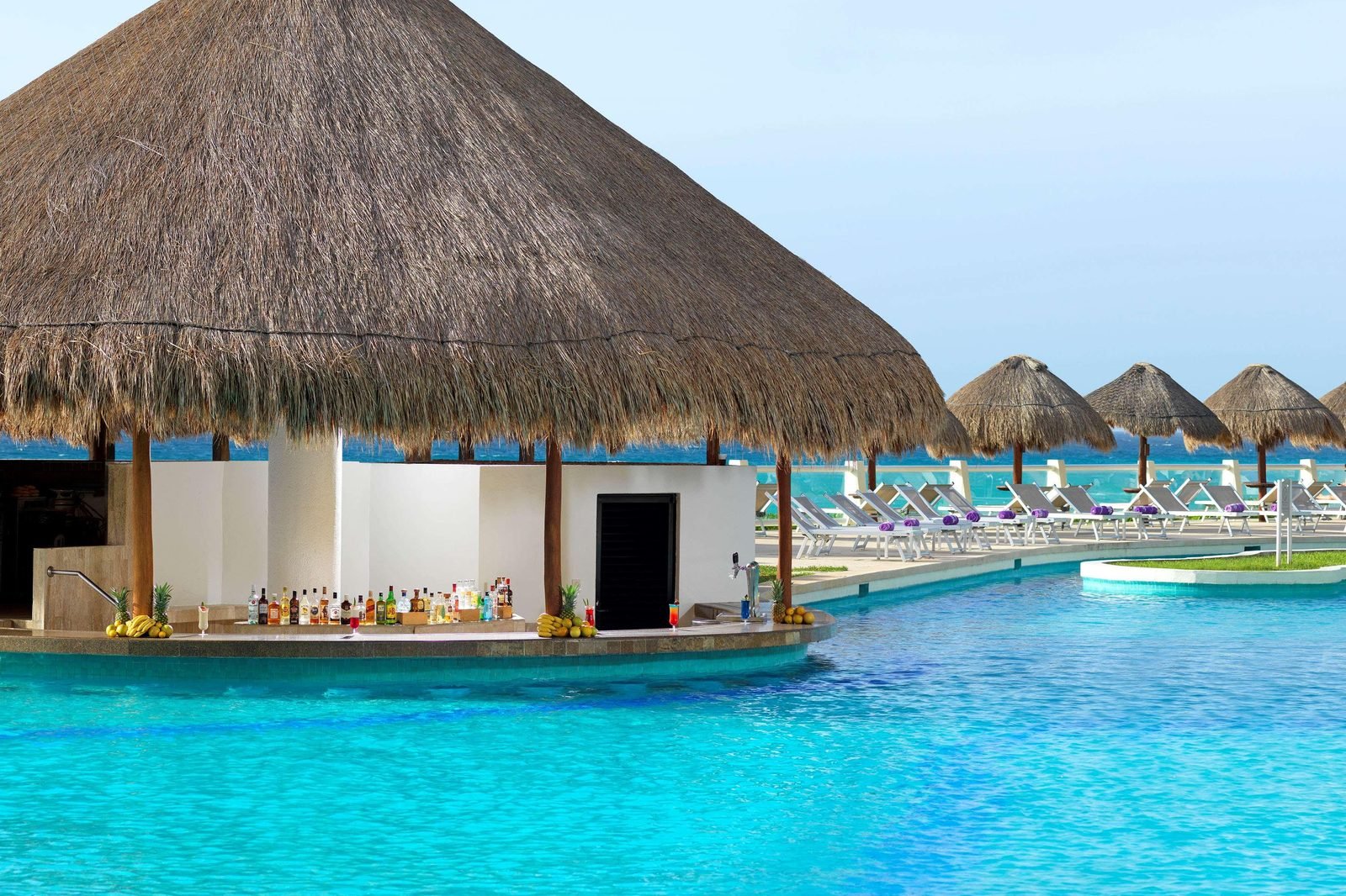 Bar en una palapa dentro de la alberca