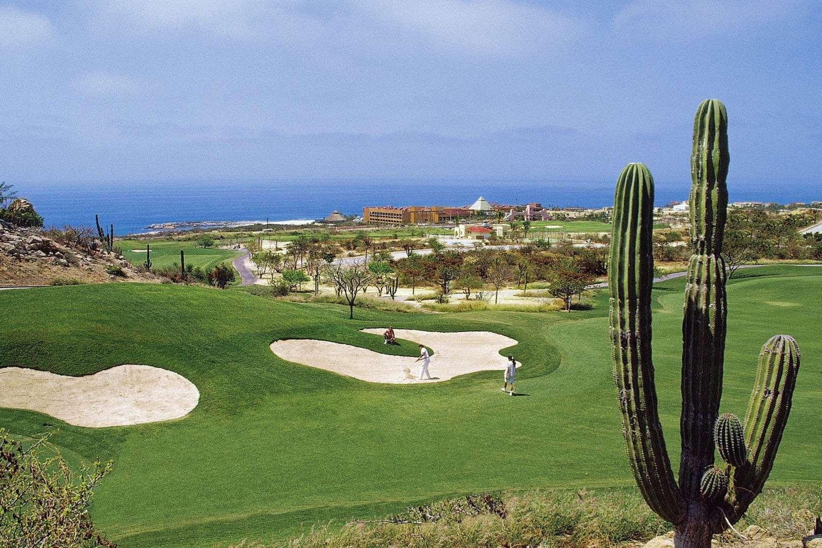 Campo de golf con cactus y el mar al fondo