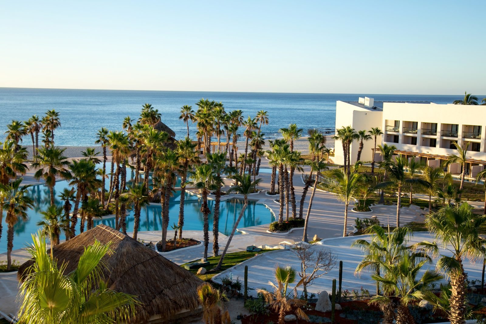El hotel entre palmeras y albercas con el Mar de Cortés al fondo