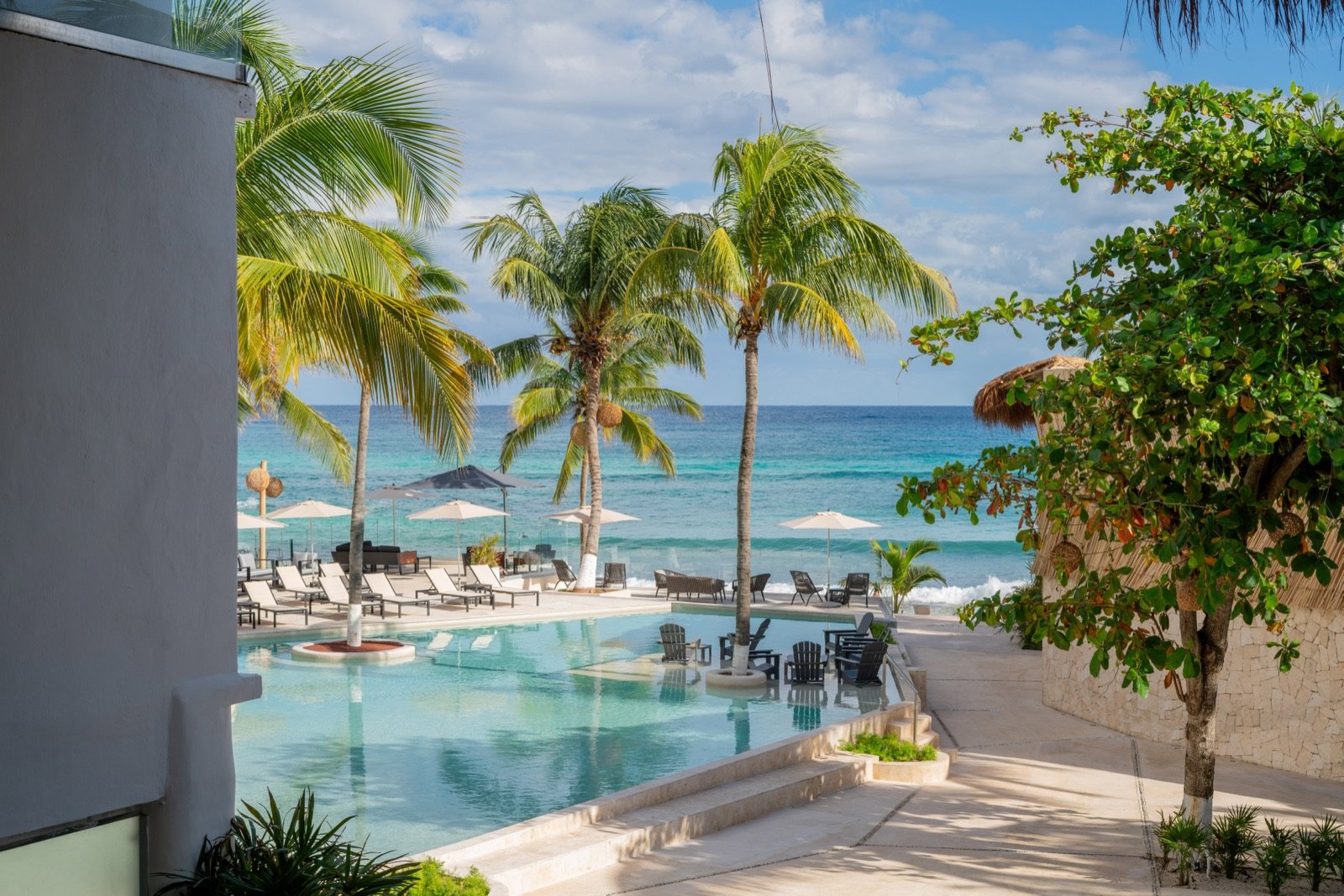 Habitación Oceanview con vista entre palmeras hacia la alberca y el mar